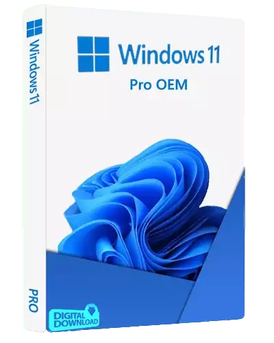 Microsoft Windows 11 pro